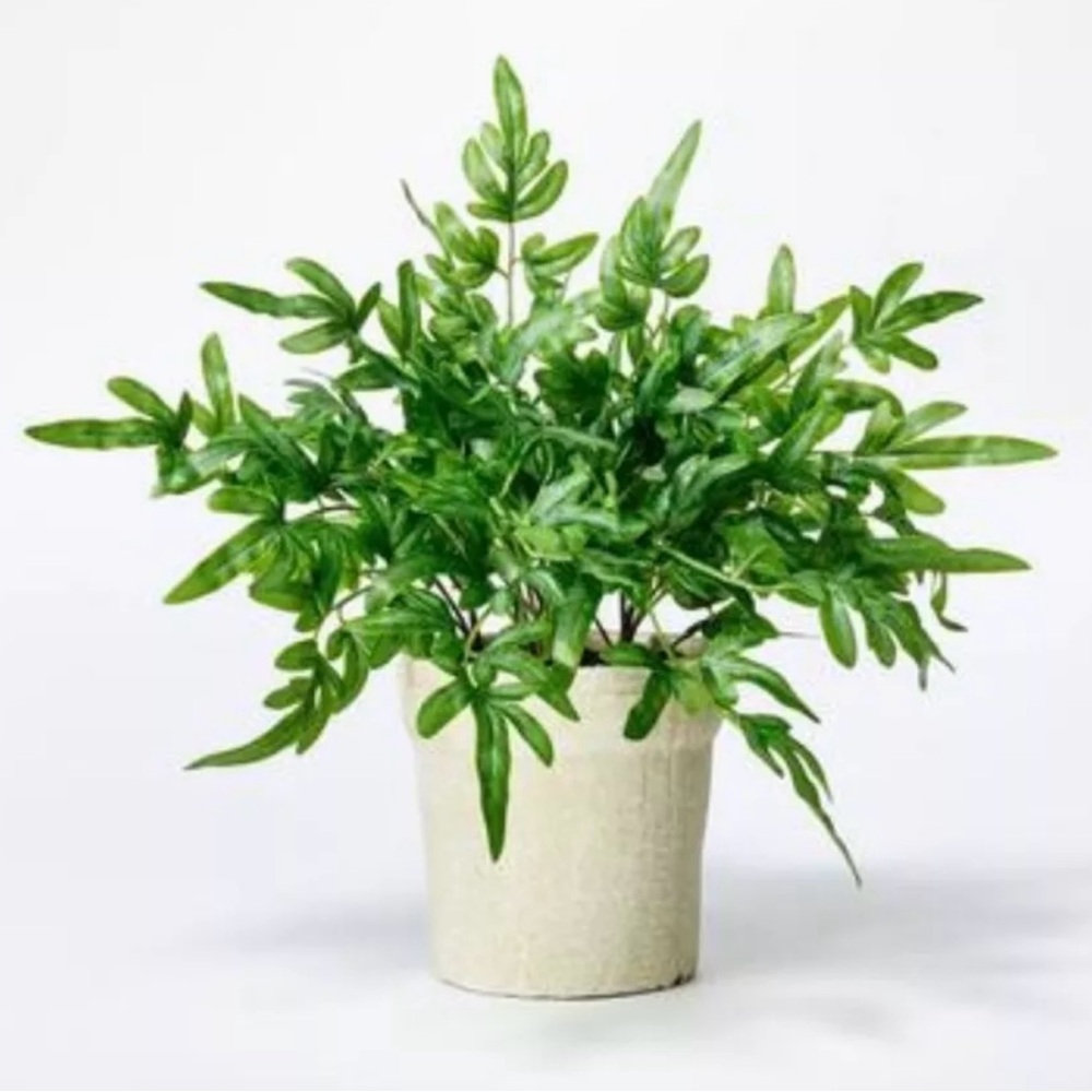 Faux Ribbon Fern 13”H Potted Plant - Threshold designed with Studio McGee